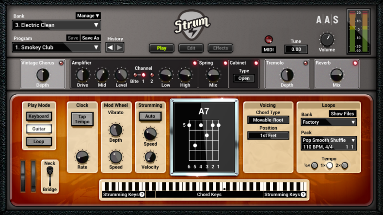 Strum GS-2 – Bild 3