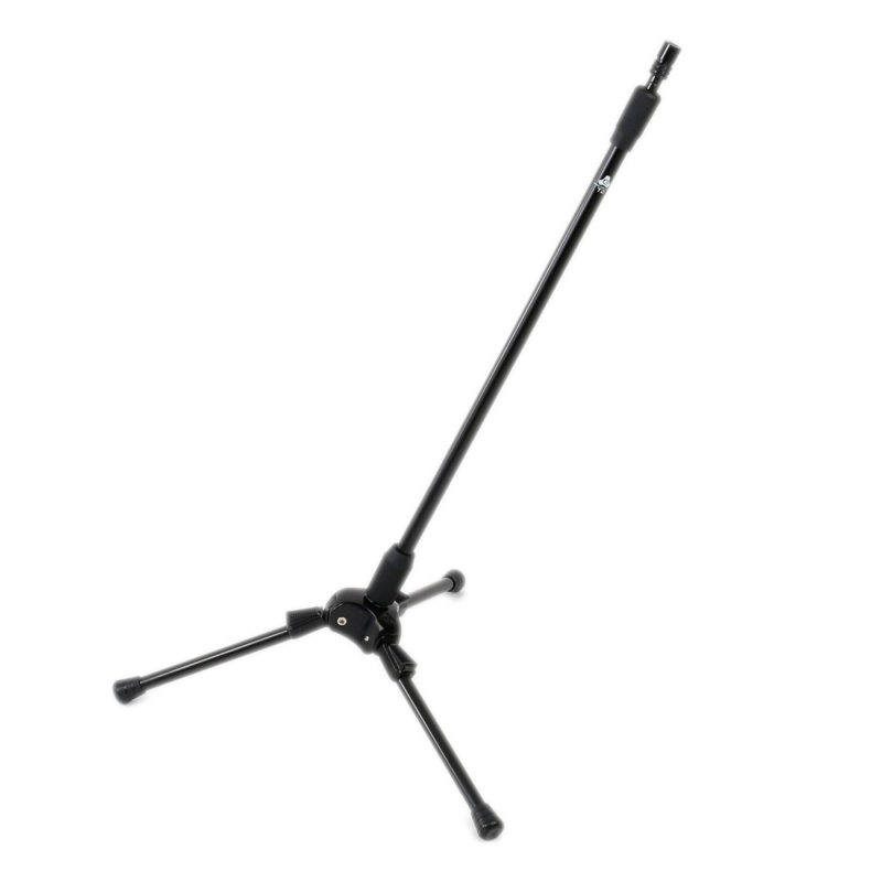 T2 – Bild 3